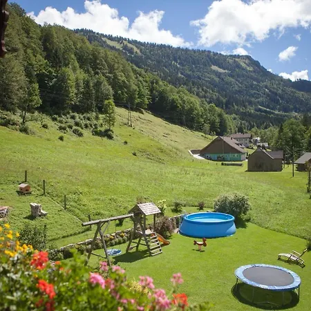 Bio-Bauernhof Vordergrubenbach - Familie Oberascher Hintersee Exterior foto
