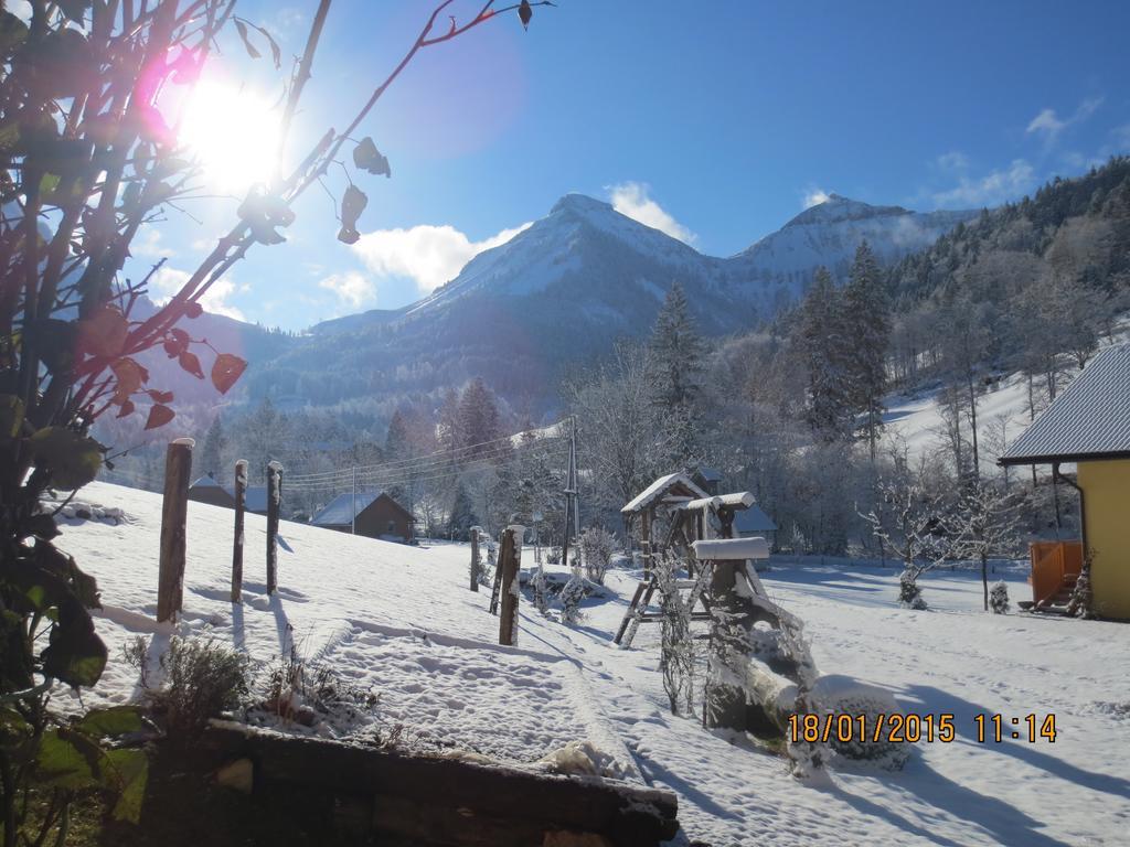 Bio-bauernhof Vordergrubenbach - Familie Oberascher * Hintersee