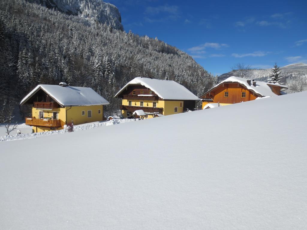 Séjour à la ferme Bio-bauernhof Vordergrubenbach - Familie Oberascher