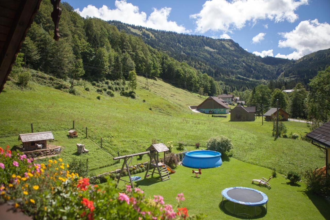 Bio-bauernhof Vordergrubenbach - Familie Oberascher *