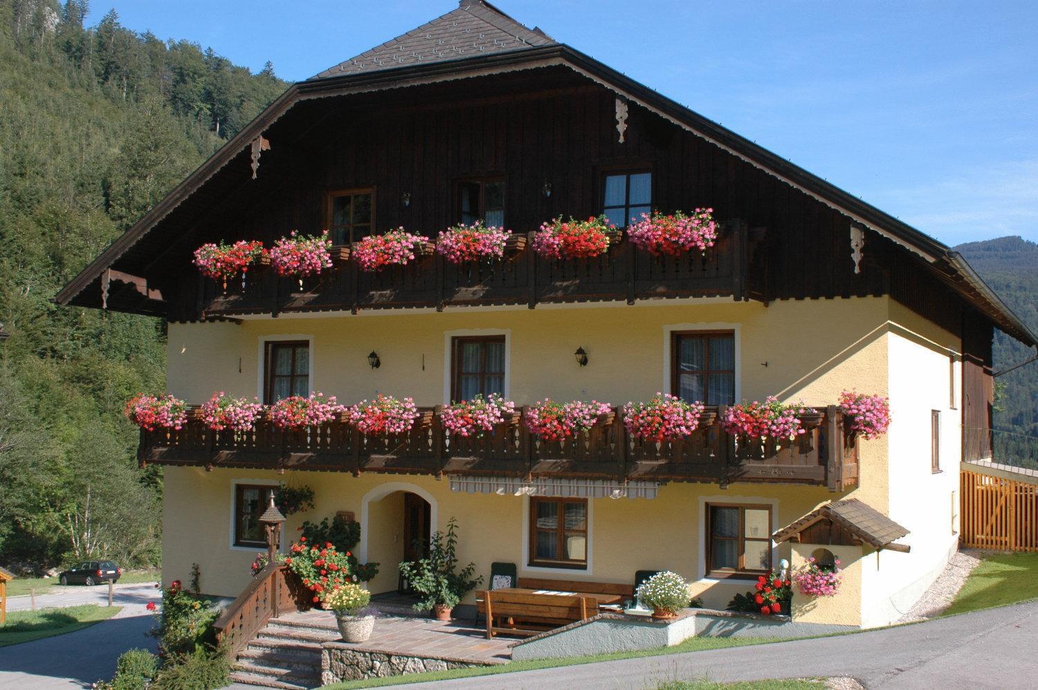 Bio-bauernhof Vordergrubenbach - Familie Oberascher Hintersee