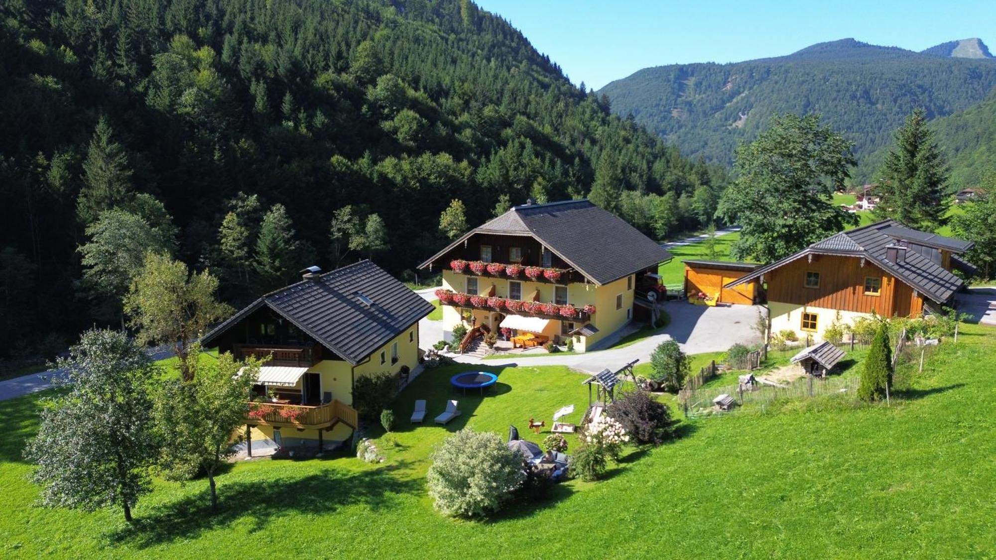 Bio-bauernhof Vordergrubenbach - Familie Oberascher Hintersee